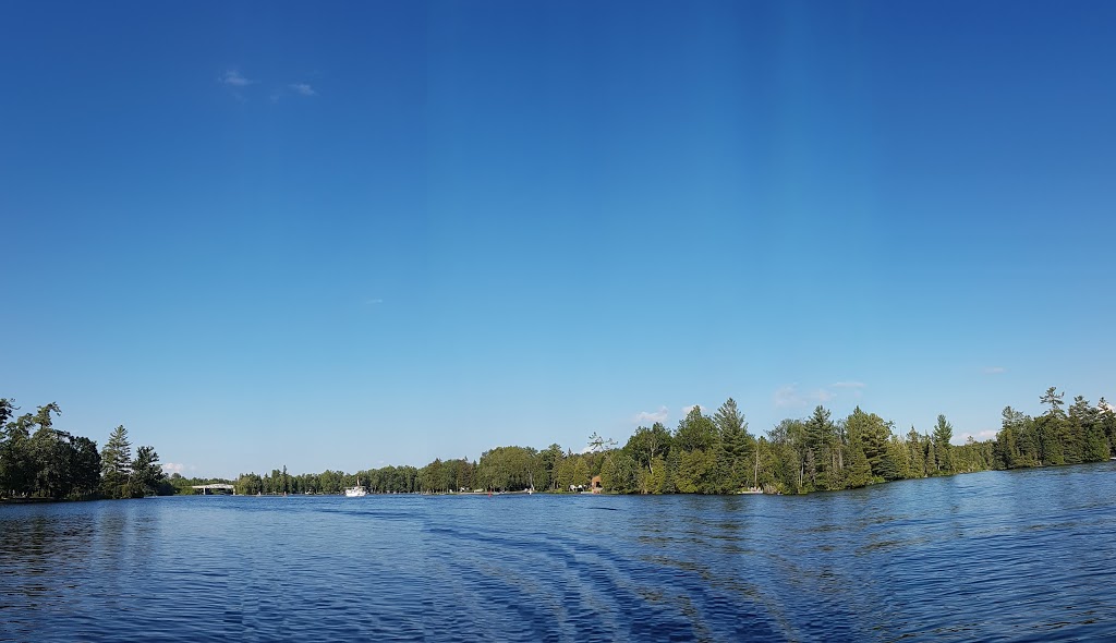 Ringtail Camp | 2045 Youngs Point Rd, Lakefield, ON K0L 2H0, Canada | Phone: (705) 652-7198