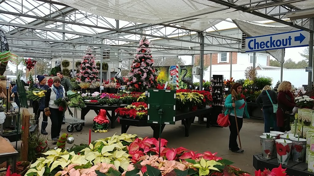 Canadale Nurseries | store | 269 Sunset Dr, St Thomas, ON N5R 3C4, Canada | 5196317264 OR +1 519-631-7264