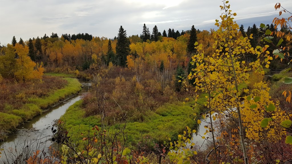 Blackburn Creek Park | 507 107 St SW, Edmonton, AB T6W 1A2, Canada