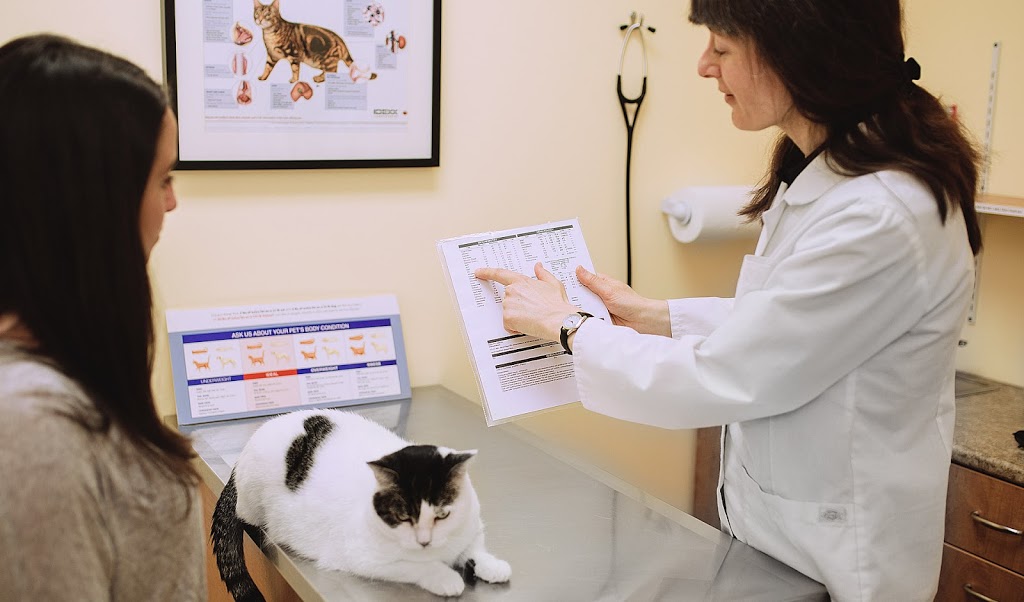 Centrepointe Animal Hospital | 261 Centrepointe Dr, Nepean, ON K2G 6E8, Canada | Phone: (613) 226-6789
