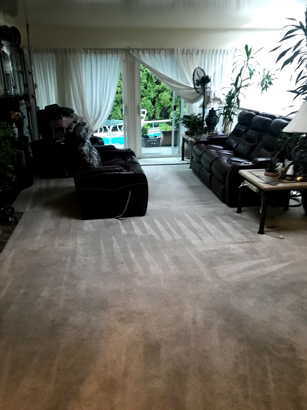 A1 Carpet And upholstery cleaning Surrey,Langley,Delta | 14435 Chartwell Dr, Surrey, BC V3S 5E3, Canada | Phone: (604) 442-6405
