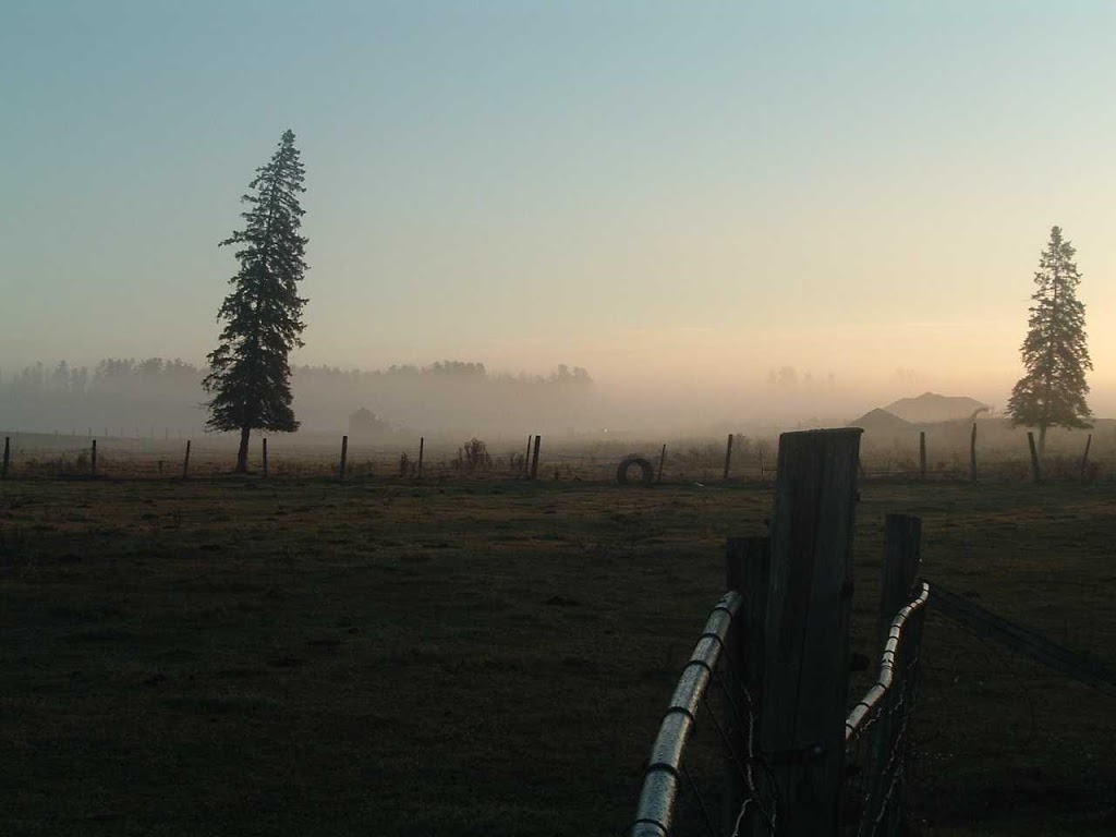 Sandy Acres Farm | 4154 ON-11 RR5, Murillo, ON P0T 2G0, Canada | Phone: (807) 939-2742