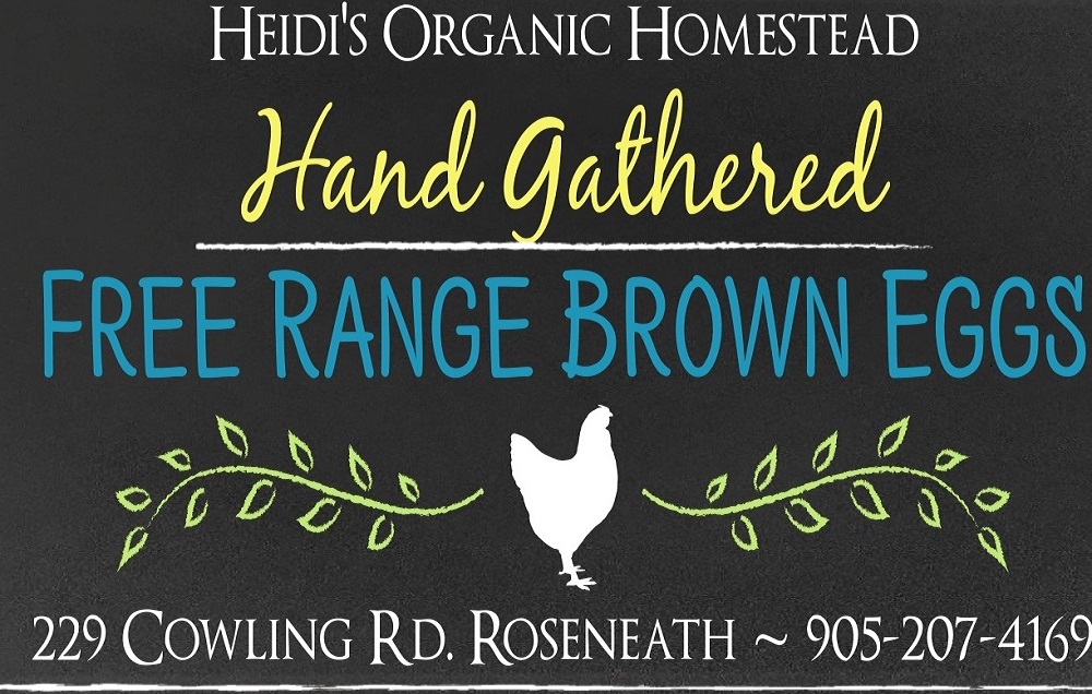 Heidis Organic Homestead | 229 Cowling Rd, Roseneath, ON K0K 2X0, Canada | Phone: (905) 207-4169
