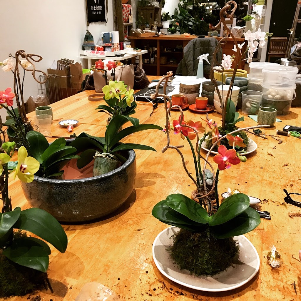 MIKA | 1593 Dundas St W, Toronto, ON M6K 1T9, Canada | Phone: (416) 885-2103