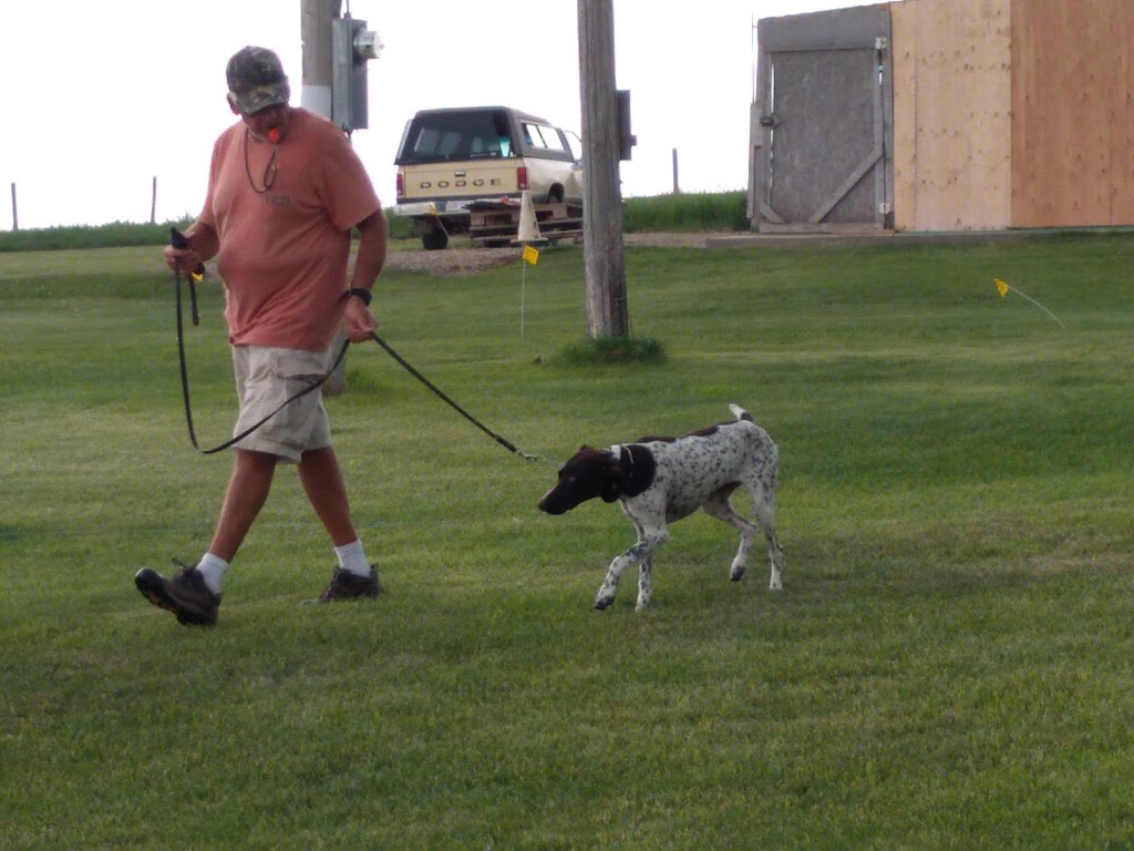 Goldwing Kennels | Range Rd 224, Magrath, AB T0K 1J0, Canada | Phone: (403) 758-6576