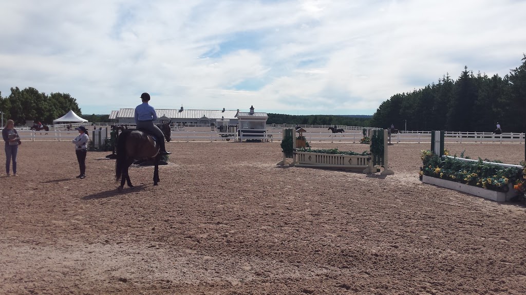 Caledon Equestrian Park | 200 Pine Ave, Palgrave, ON L7E 0M1, Canada | Phone: (905) 880-5344