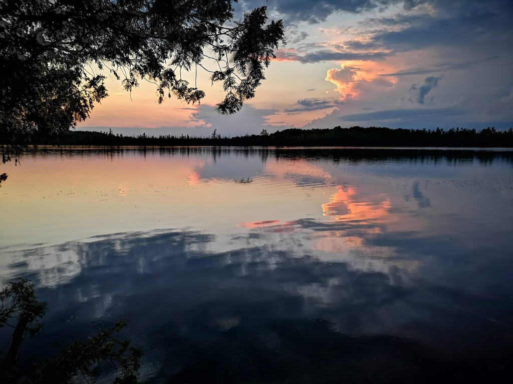 Menzel Centennial Provincial Nature Reserve | Roblin, ON K0K 2W0, Canada | Phone: (613) 335-2814