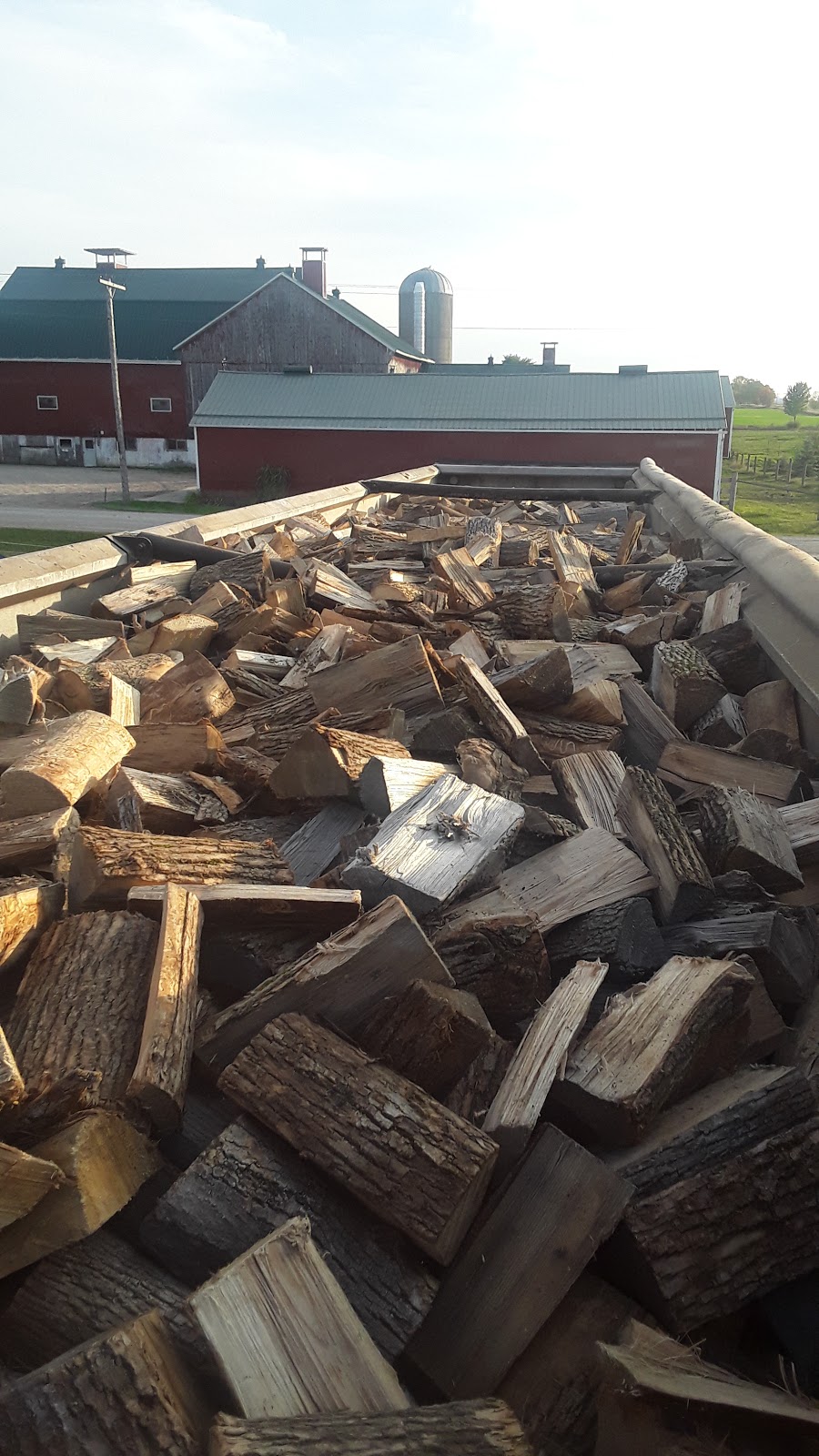 Ebersol Forestry {Firewood-Processing-Logging} | 4805 Line 76, Newton, ON N0K 1R0, Canada | Phone: (226) 751-5388
