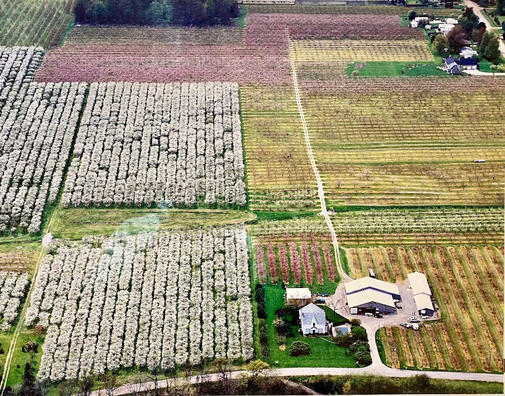 Bartkiw Farms | 4498 Twenty-First St, Vineland Station, ON L0R 2E0, Canada | Phone: (905) 328-1982