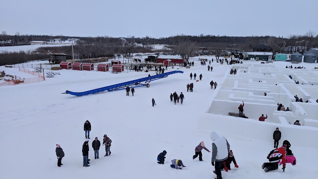 A Maze In Corn | 1351 MB-200, Saint Adolphe, MB R5A 1A2, Canada | Phone: (204) 883-2048