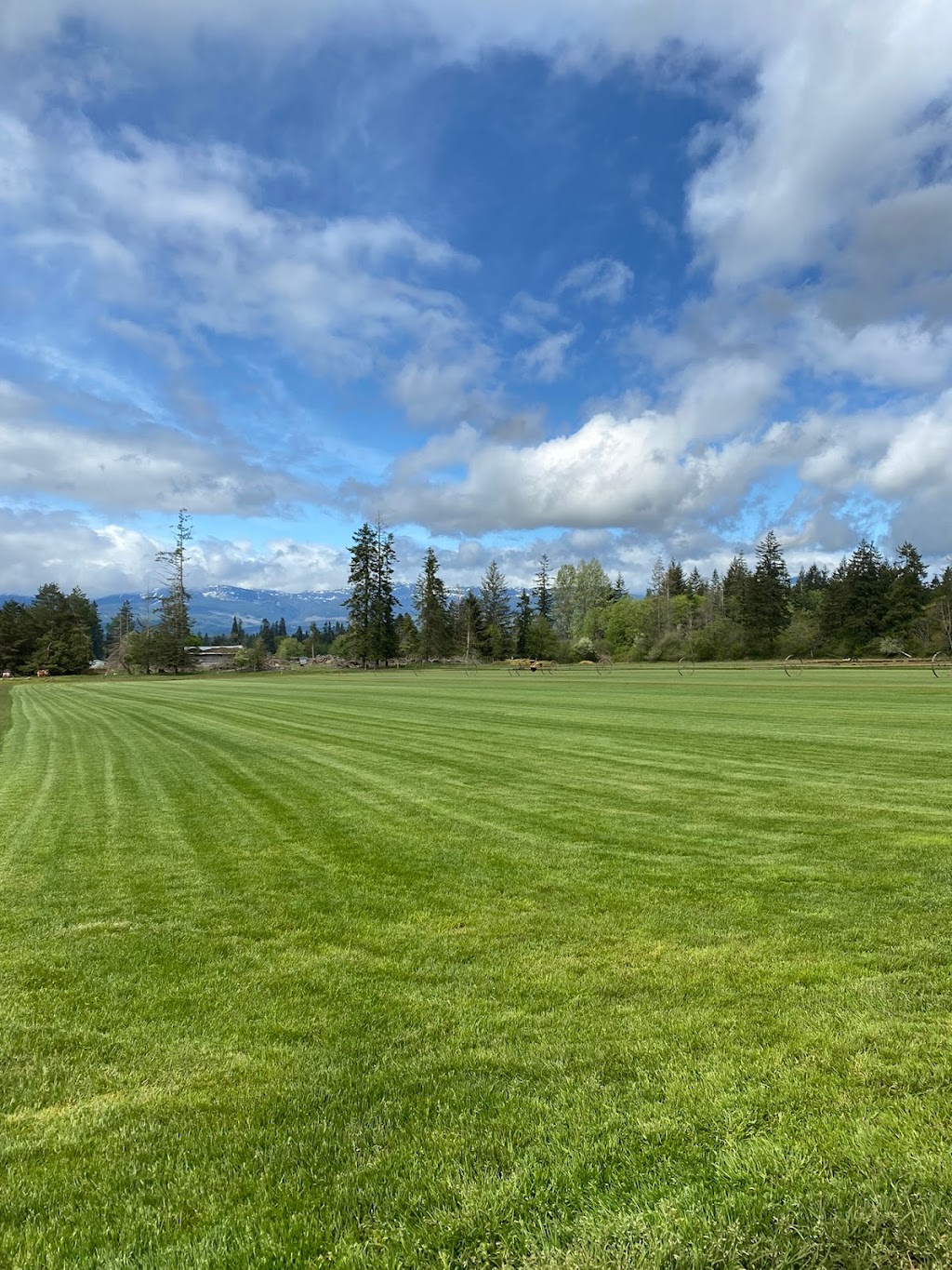 Ponderosa Sod Farm Ltd | 5201 N Island Hwy, Courtenay, BC V9J 1S7, Canada | Phone: (778) 585-5427