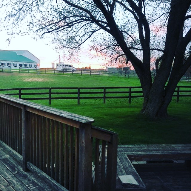 Windamere Stable | 3558 Sandhills Rd, Baden, ON N3A 3A7, Canada | Phone: (519) 634-1073