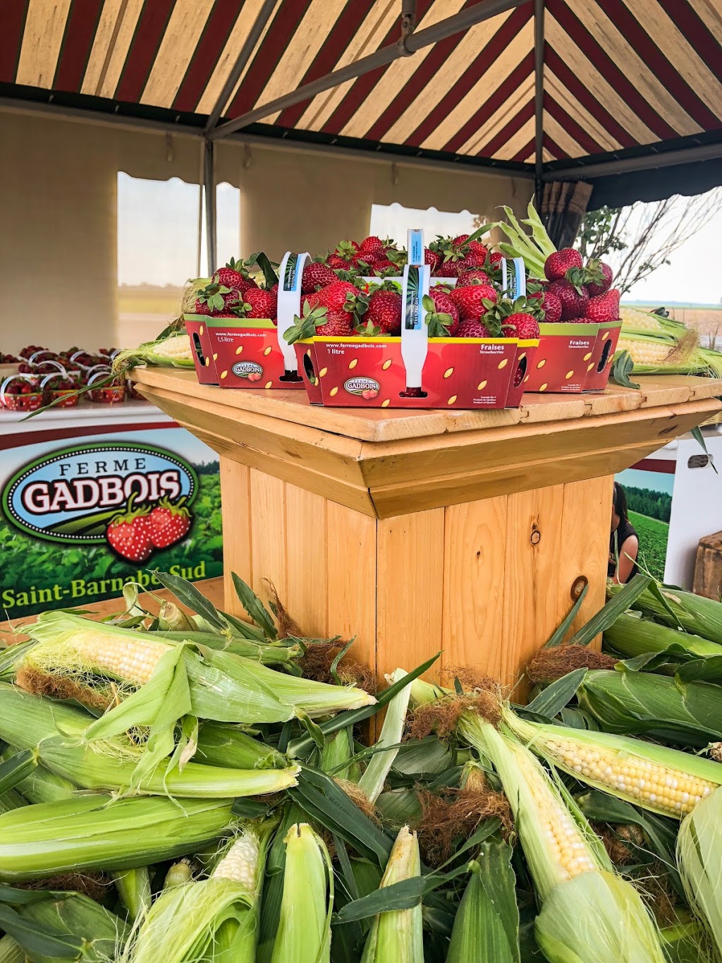 Ferme Gadbois | 889 Rang Saint-Amable, Saint-Barnabé-Sud, QC J0H 1G0, Canada | Phone: (450) 792-5112