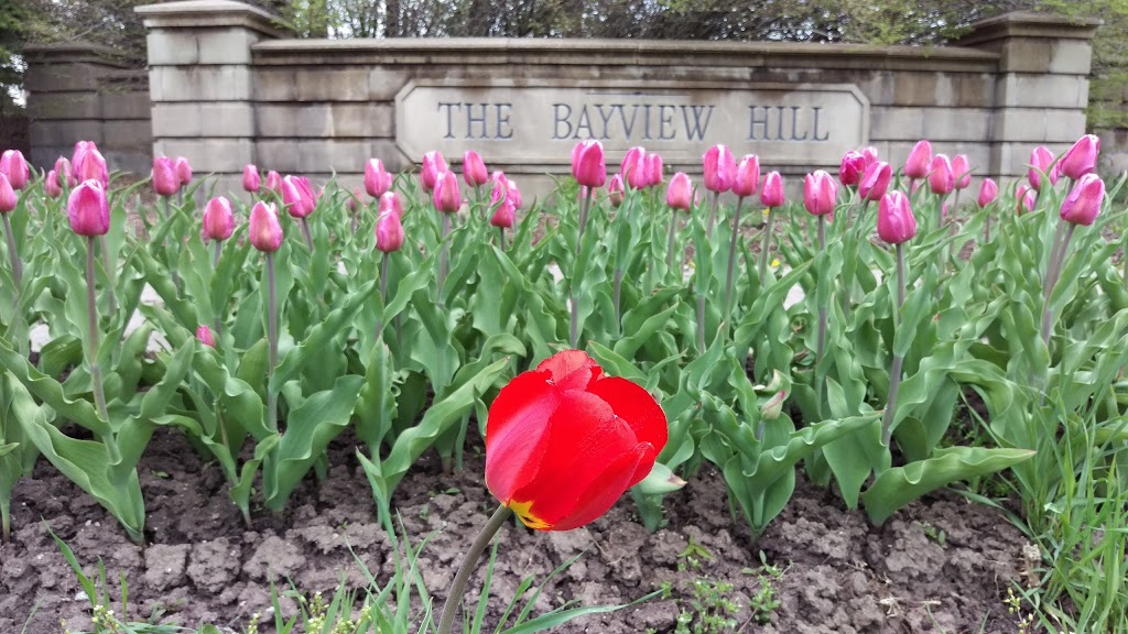 Bayview Parkette | Richmond Hill, ON L4B 2G7, Canada