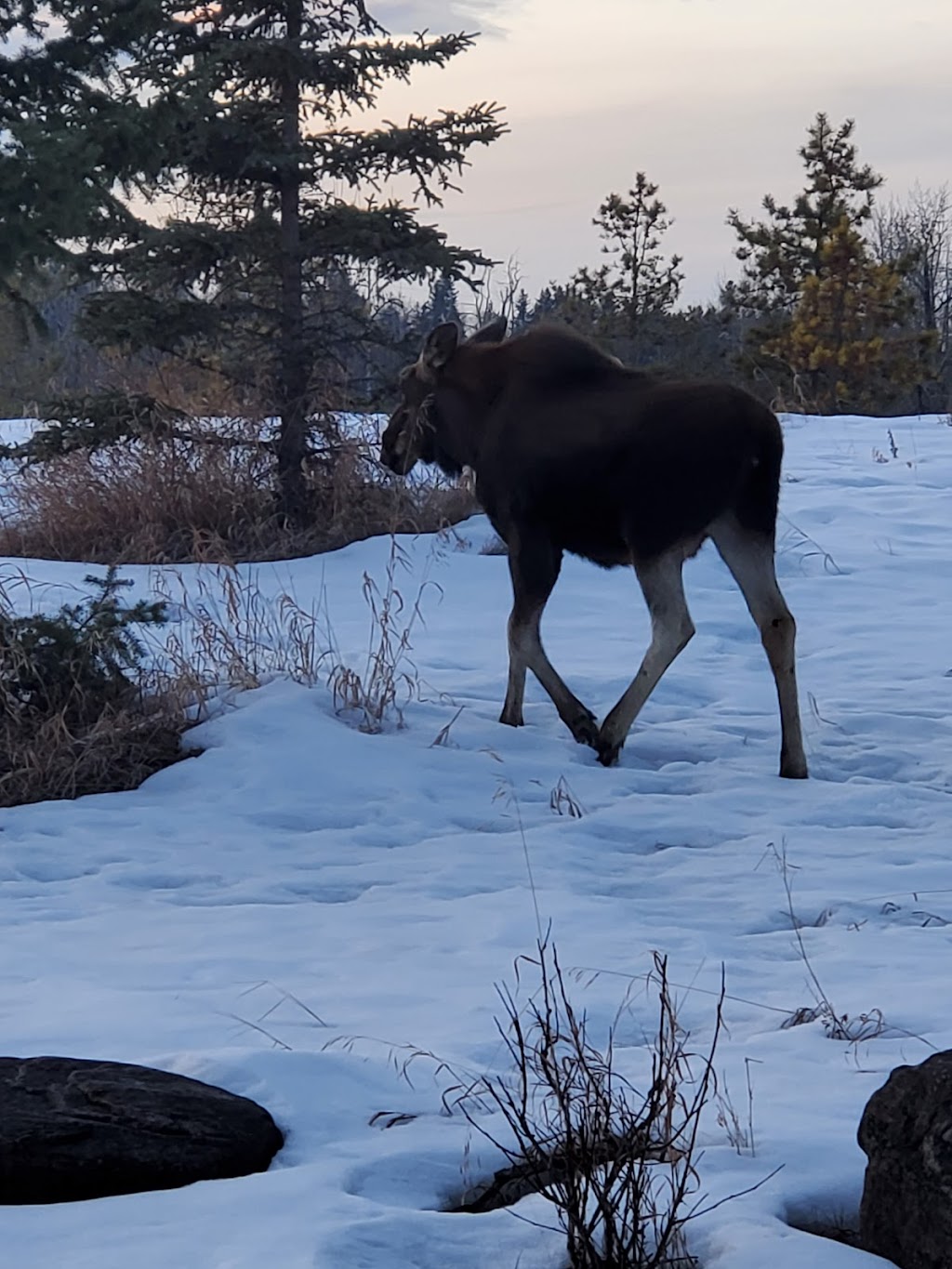 McKenzie Trails Park. | Red Deer, AB T4N 3M4, Canada | Phone: (403) 443-8721