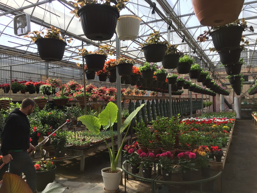 Pépinière Sabatino & fils | 5600 Bd Laurier, Terrebonne, QC J7M 0A1, Canada | Phone: (450) 477-5410