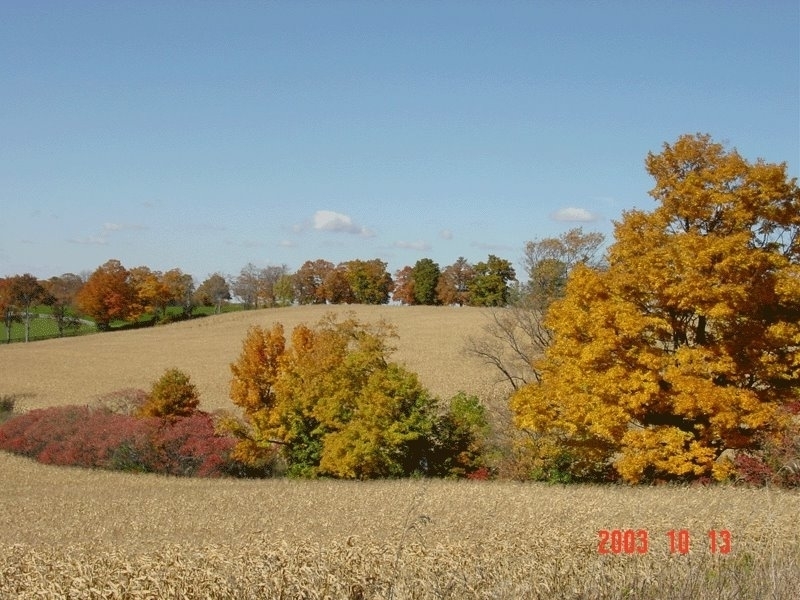 Waymark Farms Ltd | 867733 Township Rd 10, Bright, ON N0J 1B0, Canada | Phone: (519) 632-7355