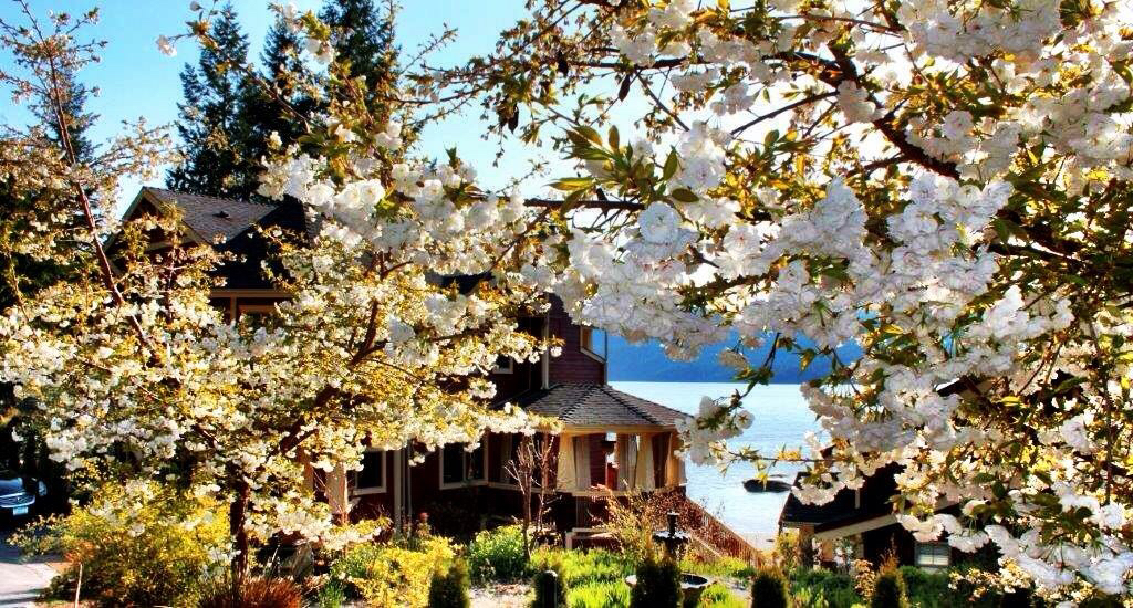 The Waters Edge Day Spa | 7545 Islets Pl, Sechelt, BC V0N 3A4, Canada | Phone: (604) 885-3442