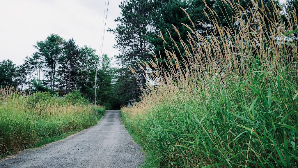 Muskoka Creekside Escape | 19 Hooey Ln, Bracebridge, ON P1L 1X2, Canada | Phone: (416) 587-2085