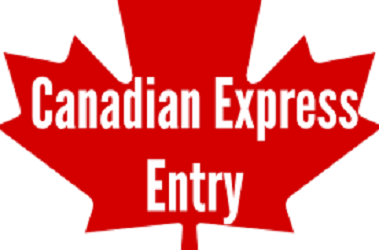 Sharp International Immigration Services - SIIS Canada Immigration and Visa Consultant | 499 Main St S Unit 94, Brampton, ON L6Y 1N7, Canada | Phone: (416) 745-2466