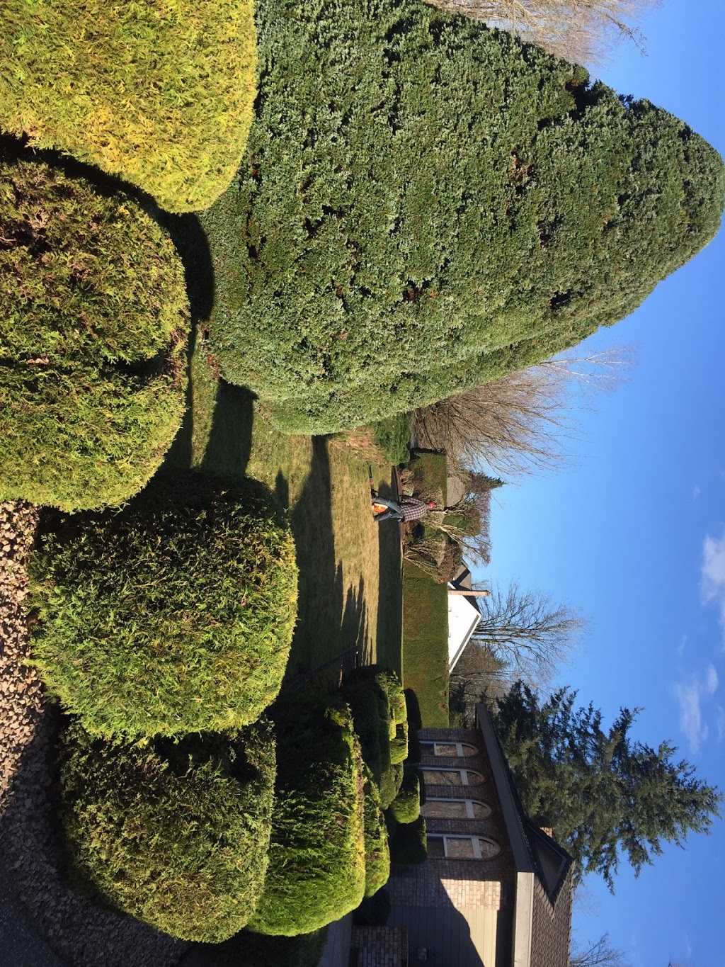 Greenyard Gardening Svc | 15055 94 Ave, Surrey, BC V3R 7L9, Canada | Phone: (604) 582-9513