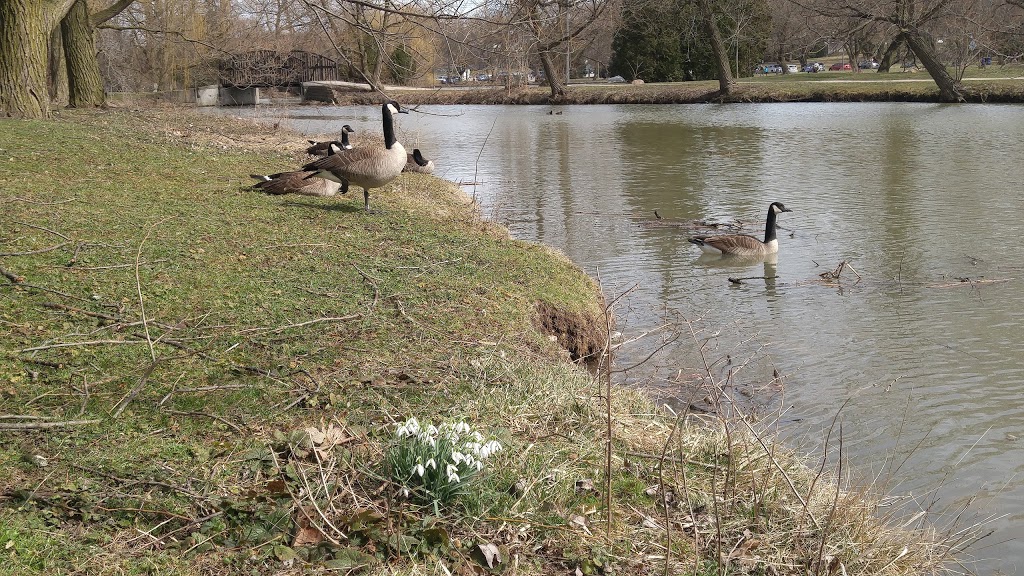 North Shore Park | Stratford, ON N5A, Canada