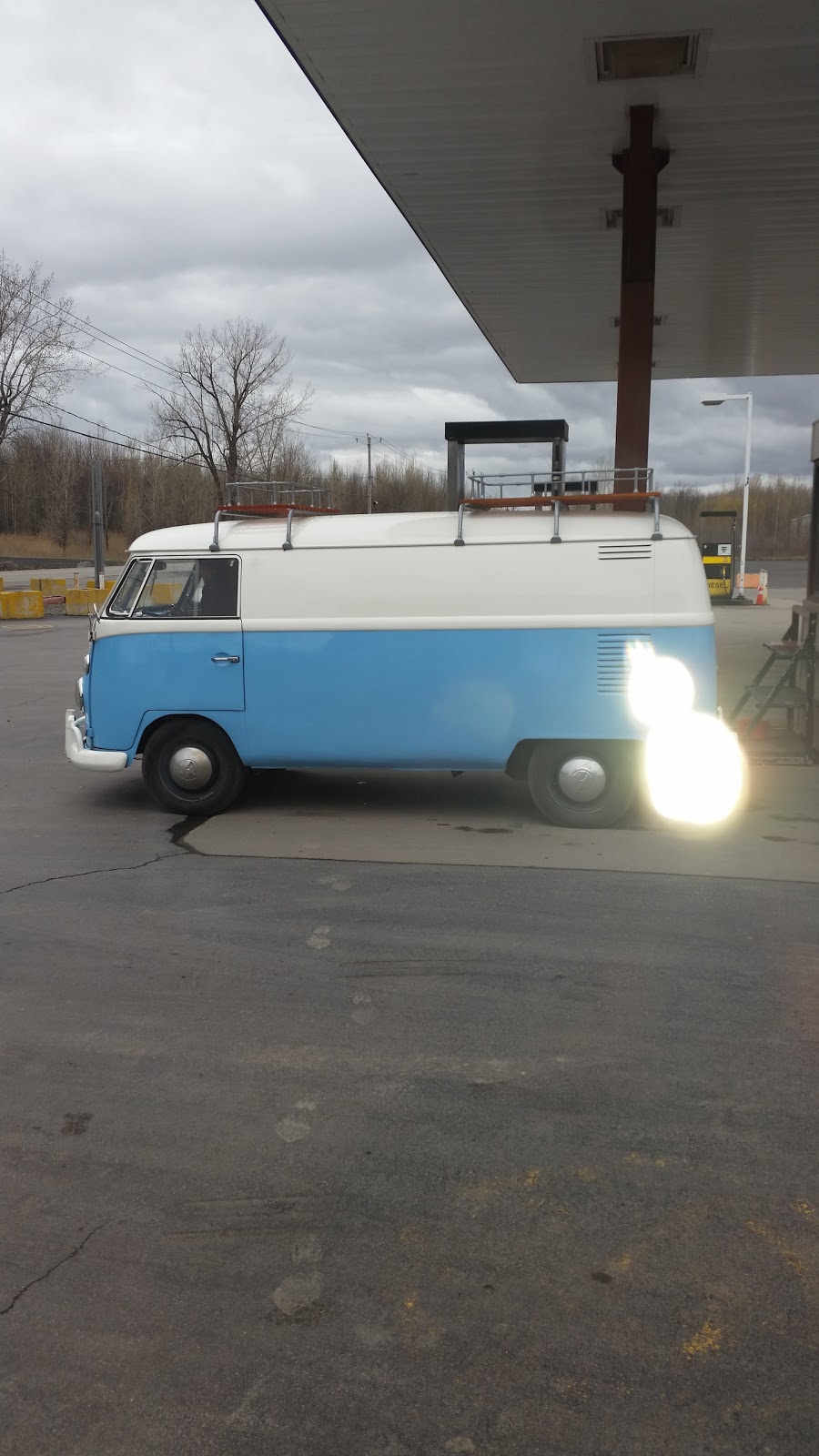 Les Serres Benoit | 721 QC-207, Saint-Constant, QC J5A 2E7, Canada | Phone: (450) 635-9107
