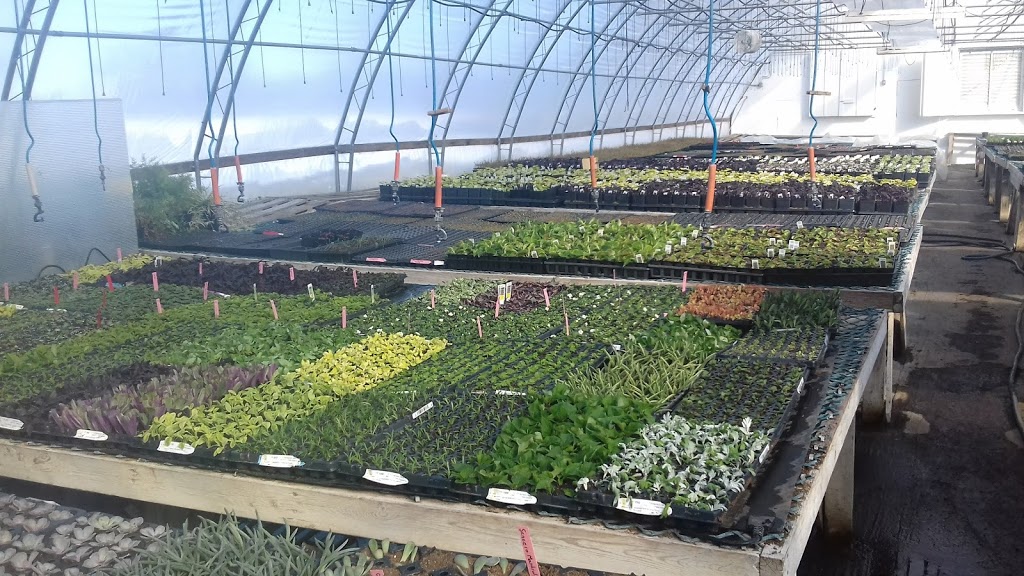 Glenlea Greenhouses | 2715 MB-75, Ste. Agathe, MB R0G 1Y1, Canada | Phone: (204) 882-2626