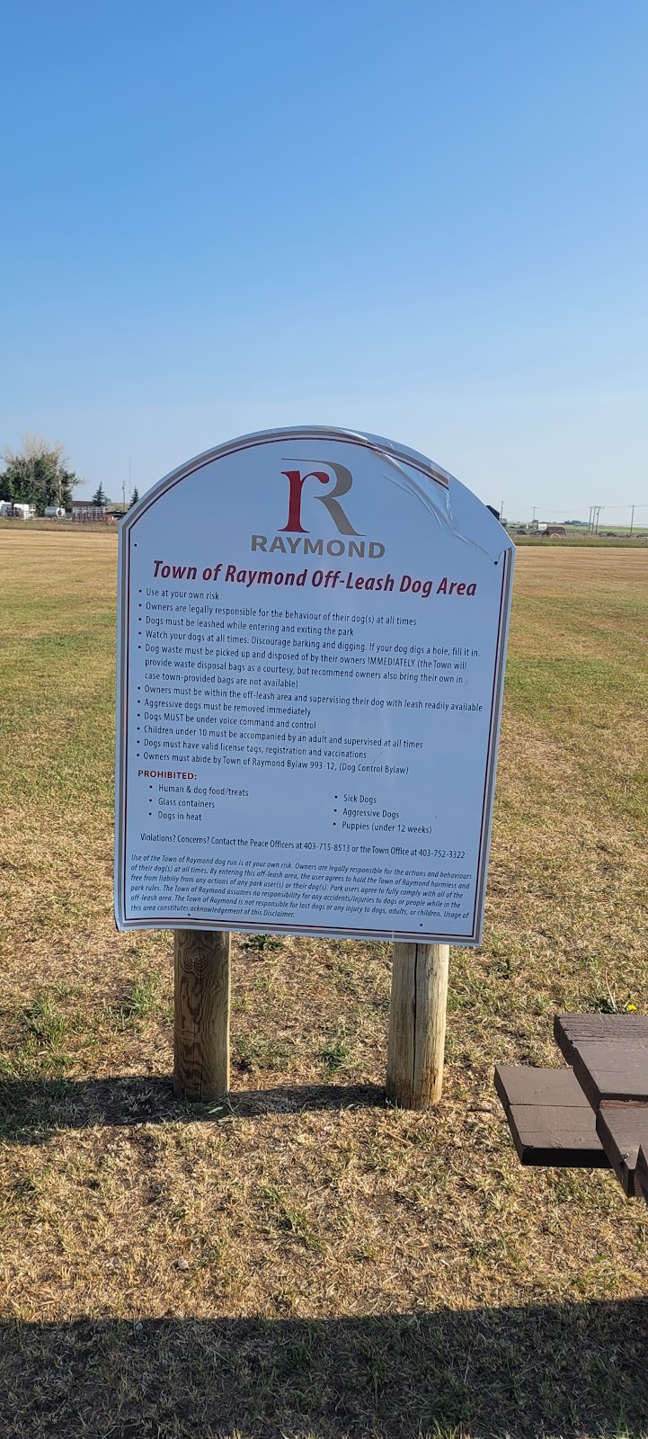 Town of Raymond Drive-In | 53 W 500 N, Raymond, AB T0K 2S0, Canada | Phone: (403) 752-3322