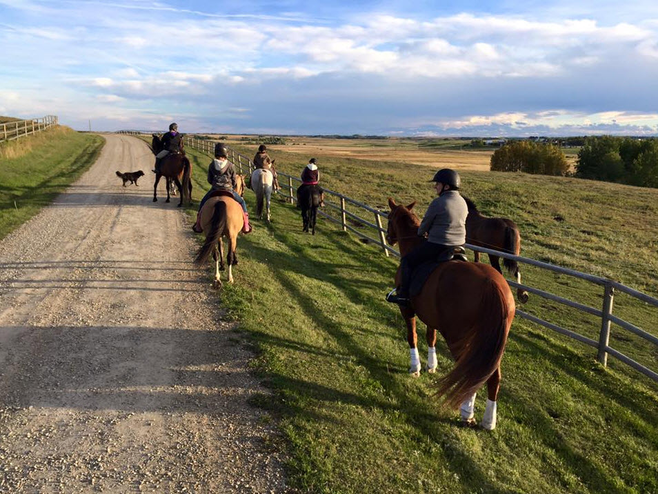 GEM Equestrian | 33038, Township Rd 272, AB T4C 2Z6, Canada | Phone: (403) 200-6287