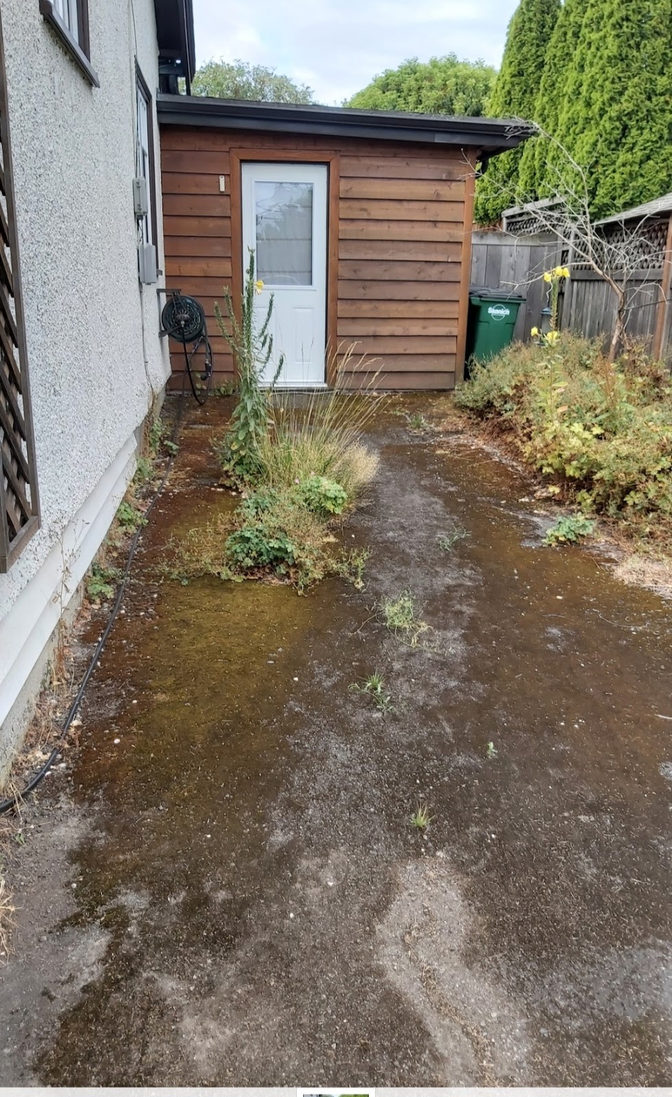 Raven Lawn and Garden | 939 Reeve Pl, Victoria, BC V9A 4R5, Canada | Phone: (250) 857-8206
