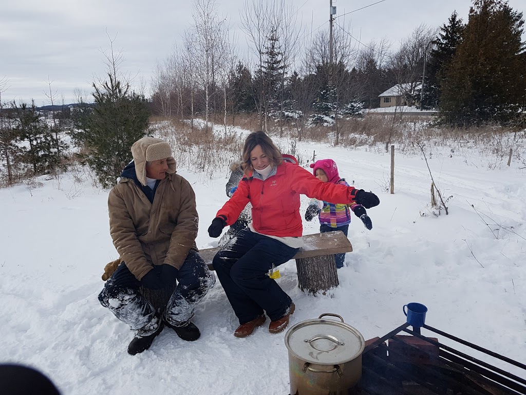 Kroes Christmas Tree Farm - 1903 Perth Line 43, Perth East, ON N3H 3Z5 ...