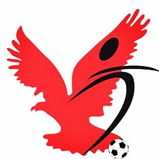 Toronto Hawks Soccer Club | 135 Fenelon Dr Unit 1607, North York, ON M3A 3K7, Canada | Phone: (416) 762-6637