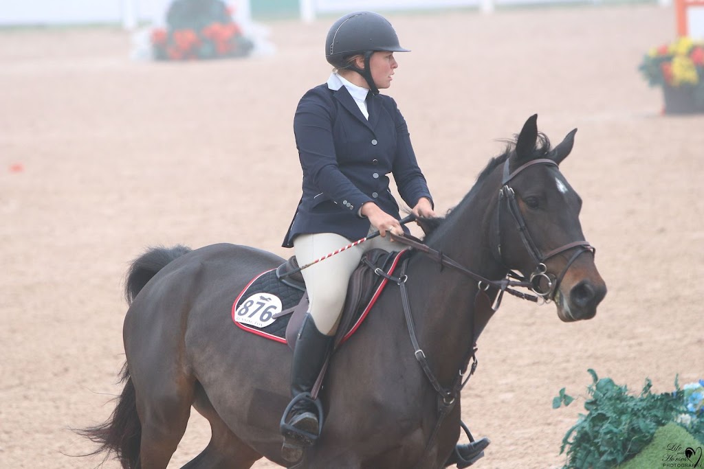 Carter Sport Horses | 670 Wilson Line, Cavan, ON L0A 1C0, Canada | Phone: (647) 913-5344