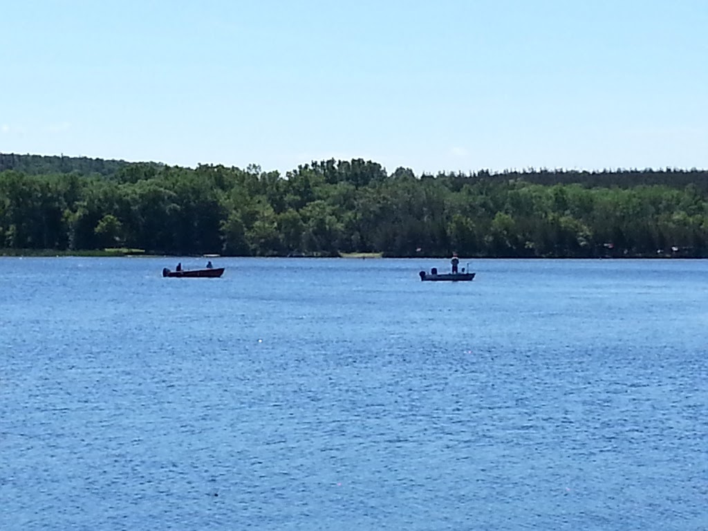 Iroquois Trail Camp Site | 484 Frankford Stirling Rd, Frankford, ON K0K 2C0, Canada | Phone: (613) 398-6725