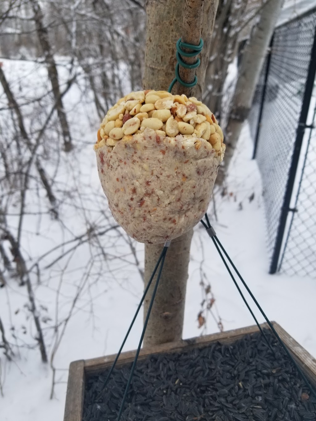 The Preferred Perch | 1604 St Marys Rd #4, Winnipeg, MB R2M 3W4, Canada | Phone: (204) 257-3724