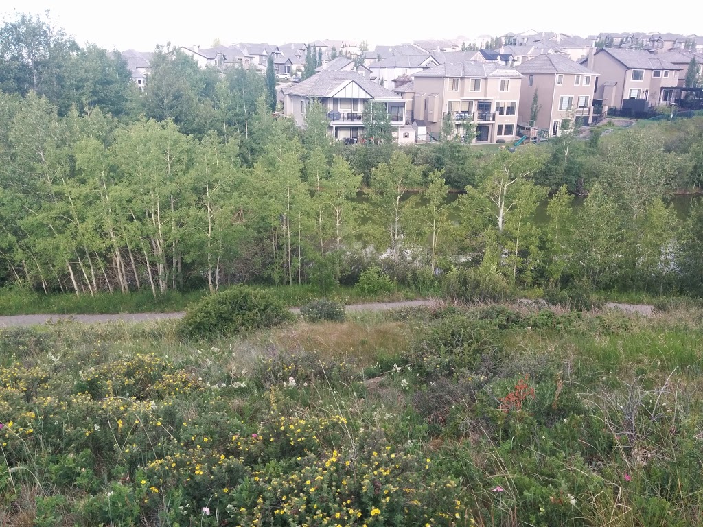 Sarina Pond | 166 R Royal Ridge Mt NW, Calgary, AB T3G 0A2, Canada