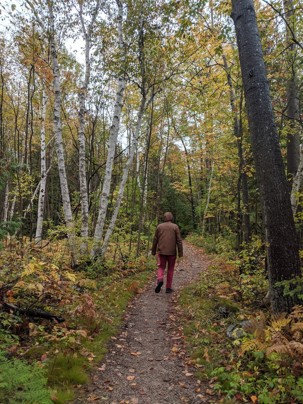 MacGregor Point Provincial Park | 1593 Bruce County Rd 33, Port Elgin, ON N0H 2C5, Canada | Phone: (519) 389-9056