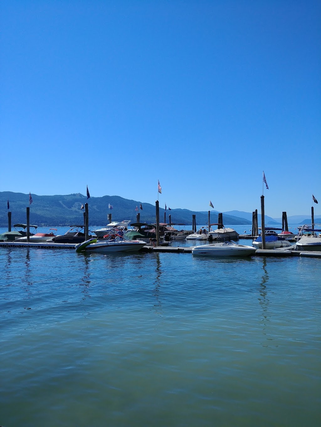 Anglemont Marina Ltd | 2559 Marina Rd, Anglemont, BC V0E 1M8, Canada | Phone: (250) 955-2277