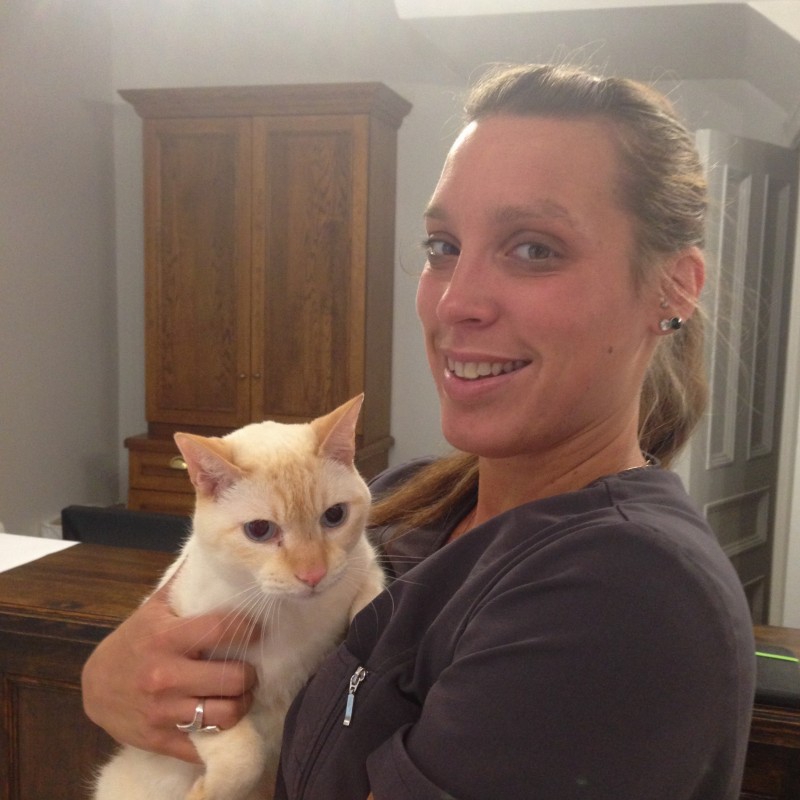 Medecin Veterinaire St-Louis | 3928 Rue St-Hubert, Montréal, QC H2L 4A5, Canada | Phone: (514) 282-1161