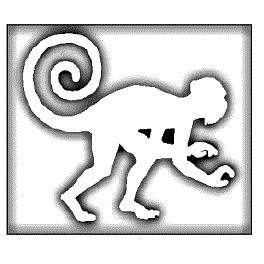White Monkey Design | 496 Prior St, Vancouver, BC V6A 2E5, Canada | Phone: (604) 685-6544