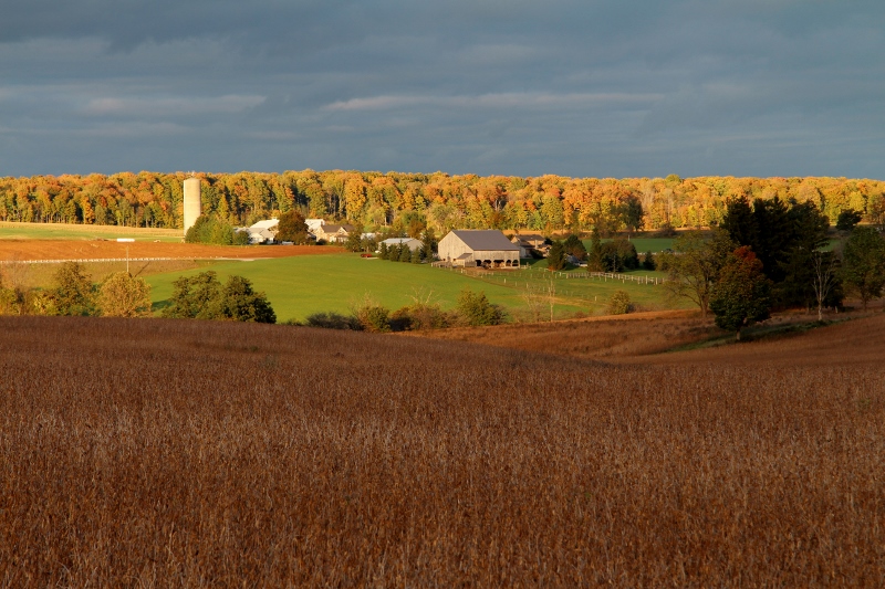 Heartland Farm Mutual | 100 Erb St E, Waterloo, ON N2J 1L9, Canada | Phone: (519) 886-4530