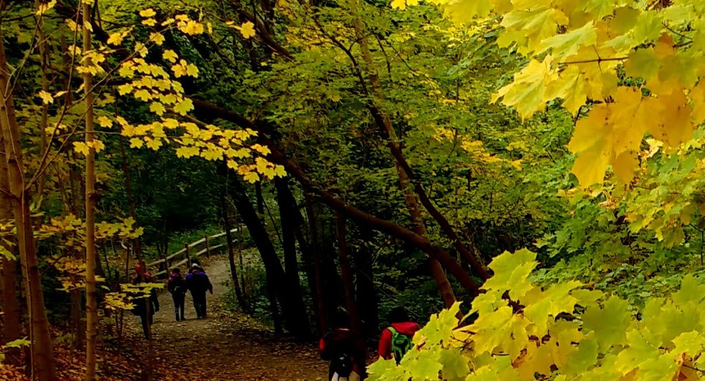 Park Drive Reservation Lands | 185 Mt Pleasant Rd, Toronto, ON M4W 1W2, Canada | Phone: (416) 392-2489