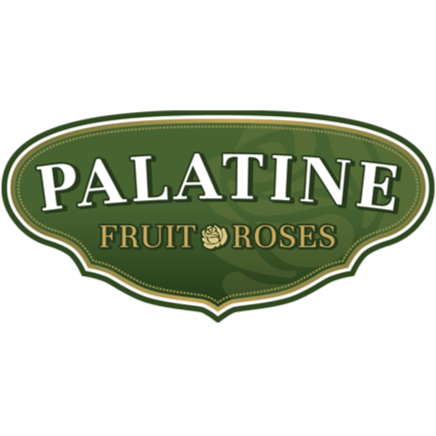 Palatine Roses | 2108 Four Mile Creek Road, RR# 3, Niagara-on-the-Lake, ON L0S 1J0, Canada | Phone: (905) 468-8627