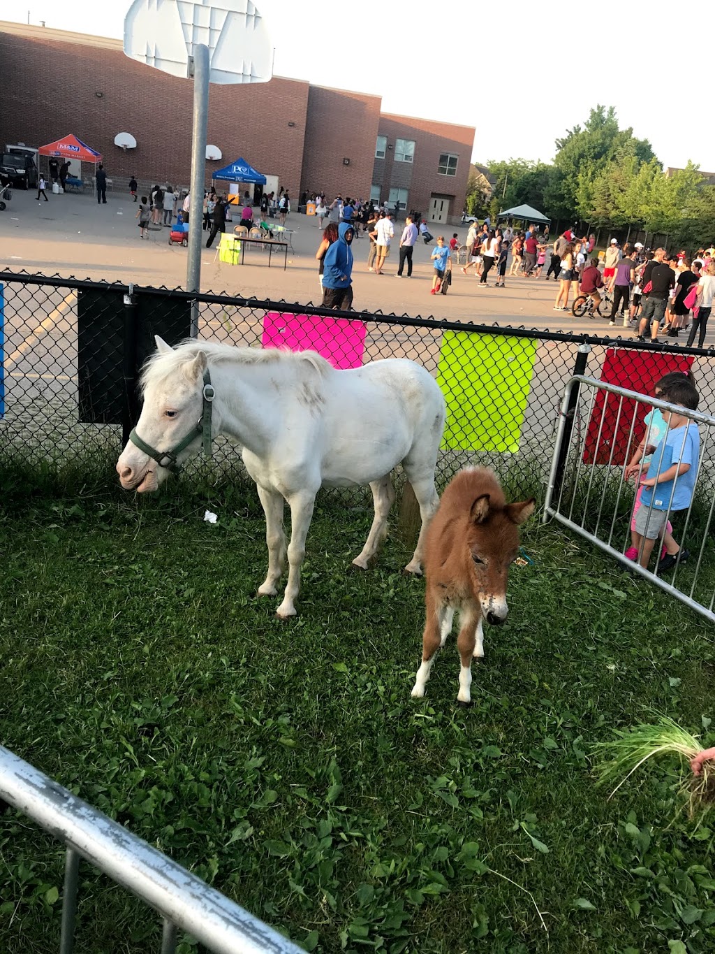 St. Luke Catholic Elementary School | 1280 Cobalt St, Mississauga, ON L5H 4L8, Canada | Phone: (905) 274-2760