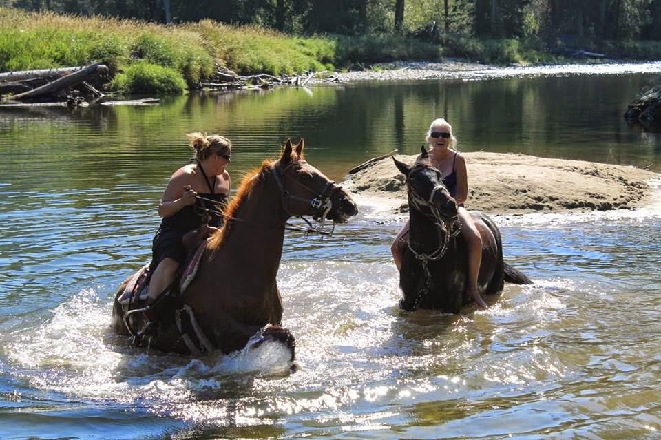 Old Cowboy Ranch | #3175, Westbridge, BC V0H 2B0, Canada | Phone: (250) 446-6808