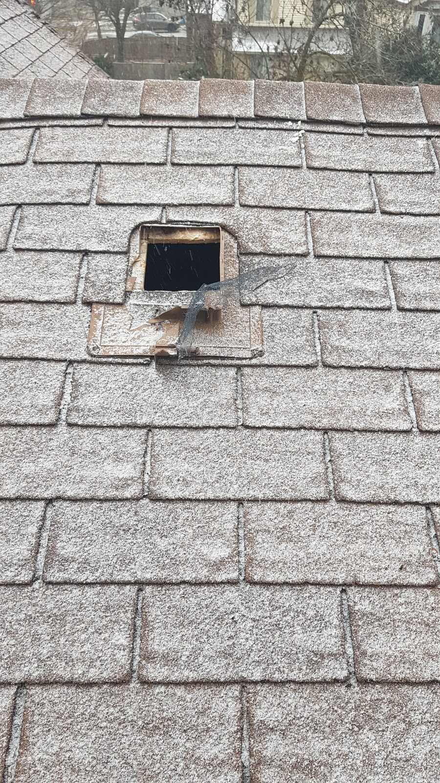 Need Pest Control | 260 Falling Green Cres, Kitchener, ON N2R 0E9, Canada | Phone: (226) 600-5597