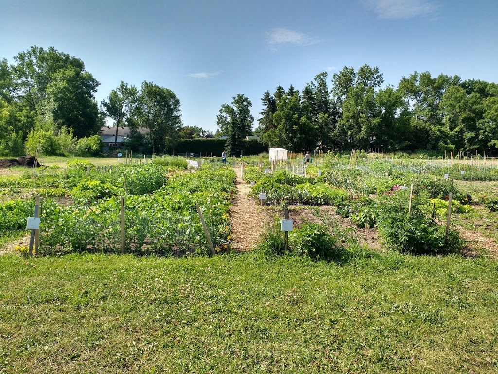 Cook Community Gardens | 41 Leslie Dr, Collingwood, ON L9Y 4E1, Canada | Phone: (705) 351-0135