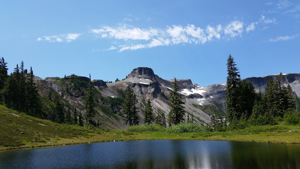 Mount Baker Visitor Center | 7509 Mt Baker Hwy, Maple Falls, WA 98266, USA | Phone: (360) 599-1518