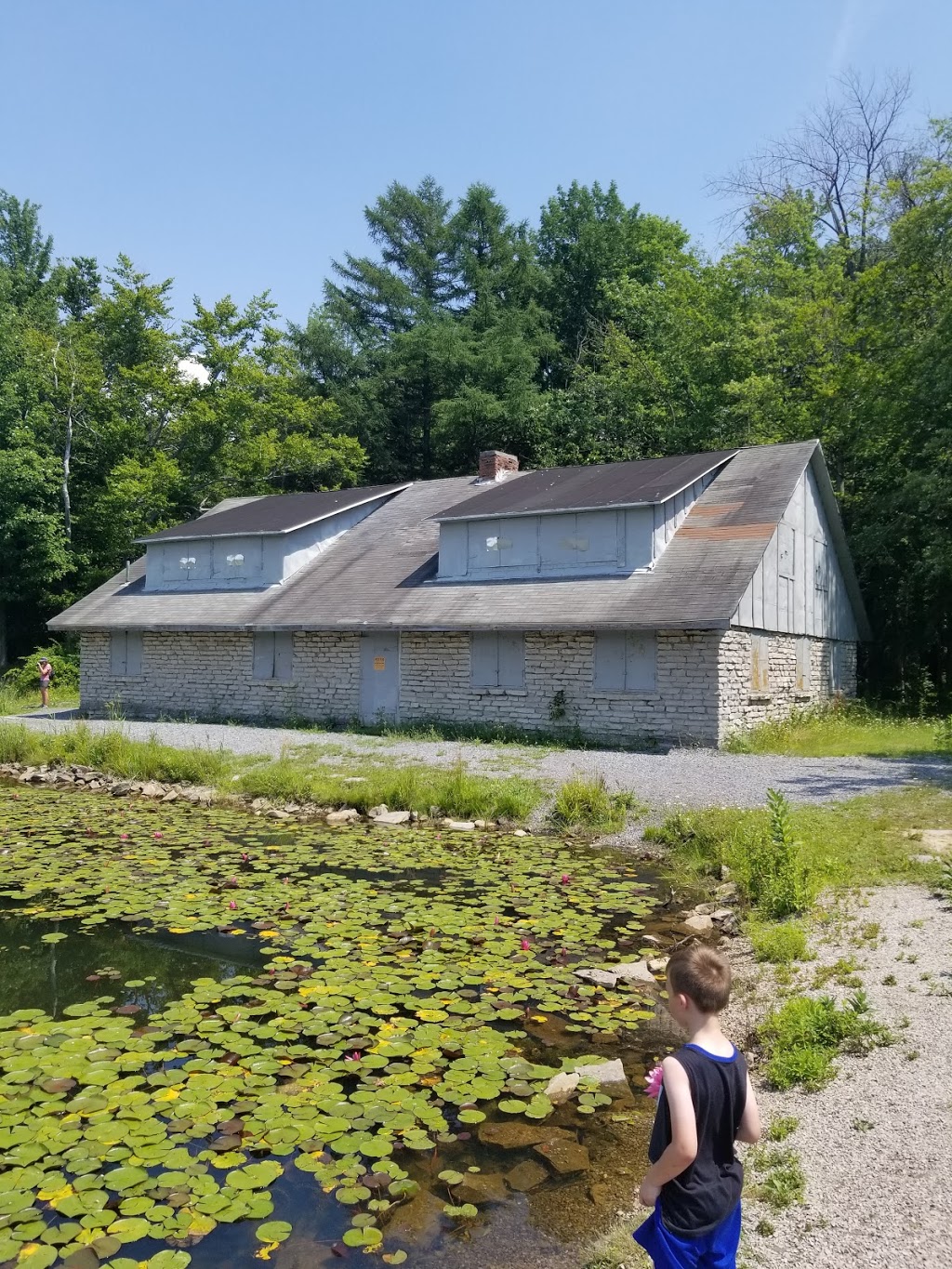 Reinstein Woods Nature Preserve | 93 Honorine Dr, Depew, NY 14043, USA | Phone: (716) 683-5959